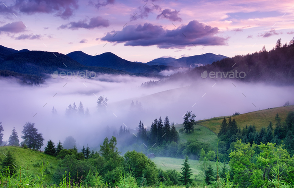 fog landscape